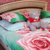 Гостиница Ella Guest House, фото 2