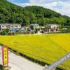 Отель Yangpyeong Aehwamon Pension, фото 36