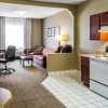 Отель Comfort Suites Round Rock - Austin North I-35, фото 4