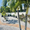 Отель Siesta Inn, фото 15