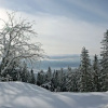 Отель Apartman Panorama 1001, фото 5