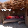 Отель Original Maasai Lodge - Africa Amini Life, фото 31