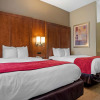 Отель Comfort Suites Oxford I-20 exit 188, фото 3