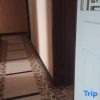 Отель Jindi Hotel, фото 5
