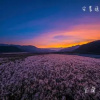 Отель An Nong Yi Jing B&B, фото 15