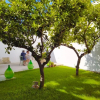 Отель Li Perrini Boutique B&B, фото 21