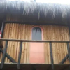 Отель Naivasha Treehouse, фото 1