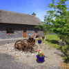 Отель Clan Cottages, фото 11