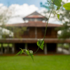 Отель Miraflores Finca Turistica, фото 15