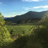 Отель Azienda agricola Frascole, фото 4