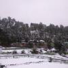 Отель Binsar Oak Paradise, фото 18