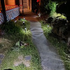 Отель Jeju Honey Night Guest House, фото 17