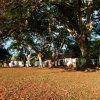 Отель Pousada Fazenda Xaraés, фото 11