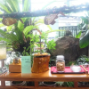Отель Mai Phuong Binh Bungalow, фото 1