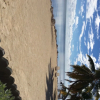 Отель Seashell Beach Resort, фото 22