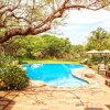 Отель Thanda Safari, фото 24