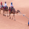 Отель Sahara Shooting Stars Camp, фото 18