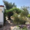 Отель El Garrofer Carob Holidays House, фото 1