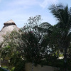 Отель Oceanfront Condo at Cancun Top Rated beach, фото 21
