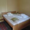 Отель Pensiunea Andrea Maria, фото 1
