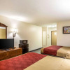 Отель Econo Lodge Inn & Suites Fairview Heights near I-64 St Louis, фото 4