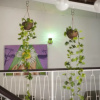Отель La Hamaca Hostel, фото 4