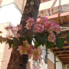 Отель Three Palms Fianar, фото 1