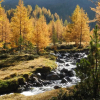 Отель Pension Florian, фото 10