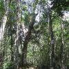 Отель Quintana Roo National Park Campground & Hiking, фото 19