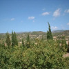 Отель Villa in Consell With Private Pool, air Conditioning and Wifi, фото 20