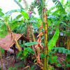 Отель Wowtawan Homestay, фото 20