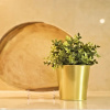 Отель Lisbon Finestay Convent, фото 19