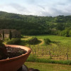 Отель Podere Terreno alla Via della Volpaia, фото 33