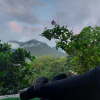 Отель El Edén Treehouse, фото 48