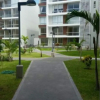 Отель Suites las Palmeras del Chipe, фото 33