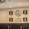 Отель Comfort Suites Huntington Beach, фото 38