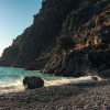 Отель Butterfly Valley Beach Glamping, фото 27