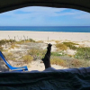 Отель Cabo Pulmo Eco Palapa, a Gated Resort on Punta Los Mangles, фото 9
