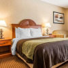 Отель Quality Inn, фото 17