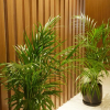 Отель Mira Otel Alsancak, фото 12