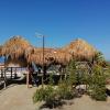 Отель Glamping UVA Playa, фото 7