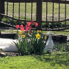 Отель Feniks Agro&Spa Adults Only, фото 3