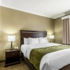 Отель Comfort Suites Houston IAH Airport - Beltway 8, фото 4