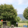 Отель Wujia Bieyuan Homestay, фото 8
