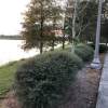 Отель Tidecrest 144 · 3 Suites Near Convention, Universal, Disney, фото 30