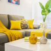 Отель JUUB Marvelous 1 bedroom apt at Condesa, фото 4