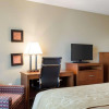Отель Comfort Inn & Suites, фото 6