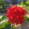 Отель Rumah Isaku, фото 27