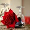Отель La Rochelle hôtel, фото 11