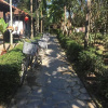 Отель Thuy Bieu Homestay, фото 19